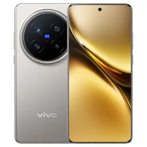 Vivo X300