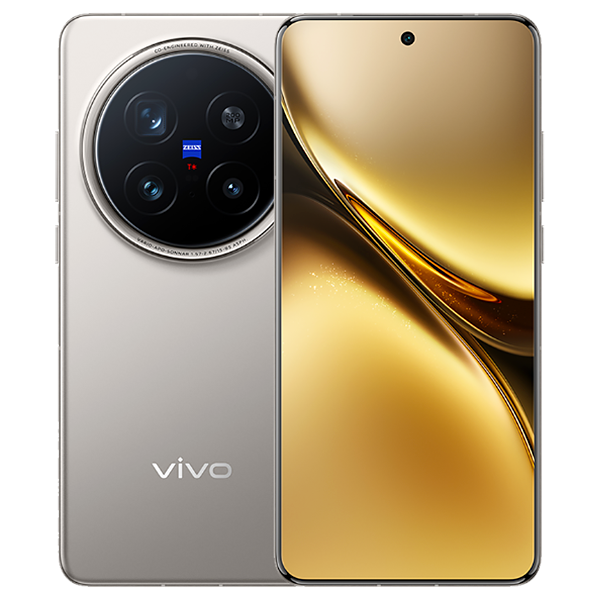Vivo X300